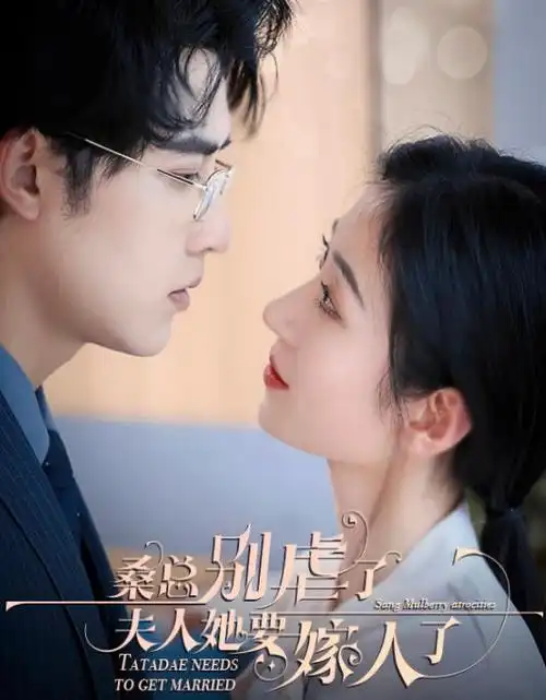 长夜将明 全集免费在线观看 年代剧